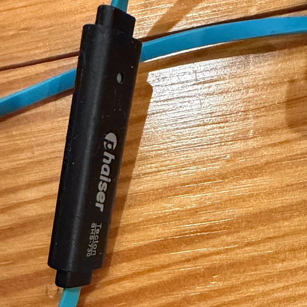 Wireless Blue Earbuds with Case